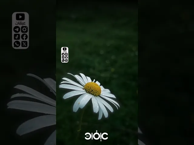 ⁣اللهم اهل التقوى والمغفرة ..