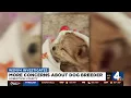 More concerns about dog breeder