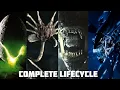 Download Lagu How does the Aliens Lifecycle Work? - Alien Romulus