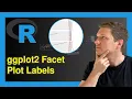 Remove Labels from ggplot2 Facet Plot in R Example Delete Box Text facet - grid element