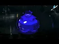 Macy fat blueberry inflation