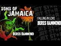 Beres Hammond - Falling In Love - 90s Reggae - Official Audio