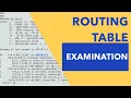 Routing Table Examination