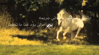 شيلة احطب ضلوعي كلمات الشاعر مهدي بن حويل أداء المنشد محسن ال مطارد 