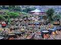 Download Lagu Biggest Marriage Ceremony | Giant Kabuli Pulao prepared | Afghan village food | village marriage
