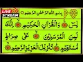 Download Lagu 🔴 SURAH YASIN \u0026 SURAH RAHMAN WITH ARABIC TEXT LIVE