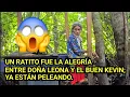😱😱UN RATITO FUE LA ALEGRÍA ENTRE DOÑA LEONA Y EL BUEN KEVIN; YA ESTÁN PELEANDO.😱😱
