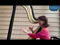 "The Cry of the Flamingos" by Sirin Pancaroglu. Performed by Mai Fukui, harpist