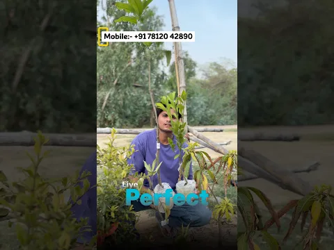 Best summer fruits plant #shorts #experiment #plants