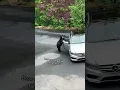 Download Lagu Bear Stands Tall 🐻✨ Calm \u0026 Powerful While Backing Away Slowly 😱🔥 Viral Wildlife Moment #shorts