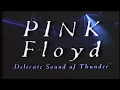 Download Lagu Delicate Sound Of Thunder
