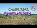 Download Lagu 1 JAM BERSAMA CAMPURSARI SANGGABUANA MAT MATAN ~ FULL LIPUTAN KEGIATAN PERTANIAN DI BOYOLALI JATENG