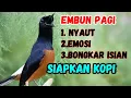 Download Lagu KETREKAN KASAR DAN PANJANG MURAI BATU GACOR JADIKAN MURAI APAPUN LANGSUNG CEPAT BUNYI BONGKAR ISIAN
