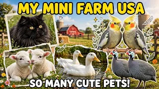 My Cute Mini Farm Tour USA - Cats, Parrots, Guineafowl, Lambs, Ducks & More Farm Animals