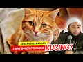 Download Lagu KENAPA DISARANKAN TIDAK BOLEH PELIHARA KUCING ?? - Ustadz Dr Khalid Basalamah