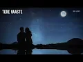 Tere Vaaste (Slowed + Reverb) | Varun Jain, Shadab, Altamash | Zara Hatke Zara Bachke | SR Lofi