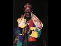 The Return Of Ninja Man - stage show (1992)