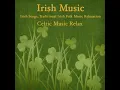 Greenleaves - Irish Music Duet