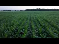 This Week in Agribusiness March 15 2025