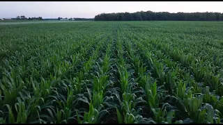 This Week in Agribusiness March 15 2025