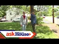 Pruning a Crabapple Tree Ask This Old House