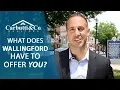 Join Me On A Tour of Wallingford Connecticut