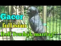 Download Lagu Sri Gunting Abu/Klawu GACOR Ngeroll Full ISIAN