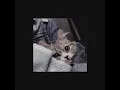 Download Lagu the box [speed up] - roddy ricch