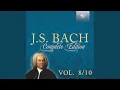 Lagu Was mir behagt, ist nur die muntre Jagd, BWV 208: IX. Aria. Schafe können sicher weiden (Soprano)