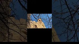 A Great Day To Travel Travel Lifeisbutadream Ihavethisthingwithplants 