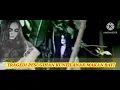 Download Lagu CERITA TARLING \
