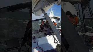 Peanut Regatta 36 #shorts