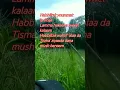 Download Lagu Habbitak versi pak prabowo #shorts