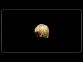 El Kuelgue - Peluquita