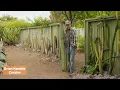 Beyond the Garden Gate | How the Ruth Bancroft Garden's Impact Reaches Beyond