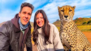 Il nostro viaggio in SUD AFRICA