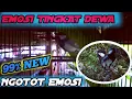 Download Lagu Pancing bunyi gelatik wingko gacor 