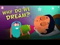 Download Lagu Why Do We Dream? | The Dr. Binocs Show | Best Learning Videos For Kids | Peekaboo Kidz