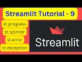Streamlit Tutorial - 9 Status elements