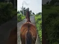 Download Lagu https://youtube.com/playlist?list=PL4fGSI1pDJn5JXkyIohg2RstsbL2SnRew\u0026si=O0iPxXS9sL_dztW9 #jokes