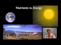 Biogeochemical Cycling