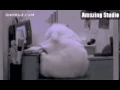 Funny GIFs 28