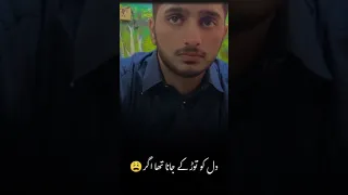 Https Www Tiktok Com Saadshah80s T ZS 90w1kyXvRO4 R 1 