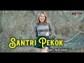Download Lagu Santri pekok  cover YMKA Official