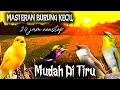 Download Lagu Masteran Kombinasi Burung Kecil Full Tembakan - MUDAH DITIRU - 24 jam nonstop