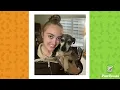 PawBoost Happy Tails