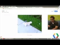 Google Drive SDK Writing your first Drive app in JavaScript