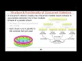Java Parallel Streams Internals Non-Concurrent Concurrent Collectors Part 1