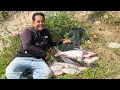 Download Lagu Ikan macam tak habis di sini! Repeat Mancing ikan patin sungai MP3