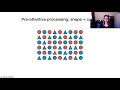 Introduction to perception
